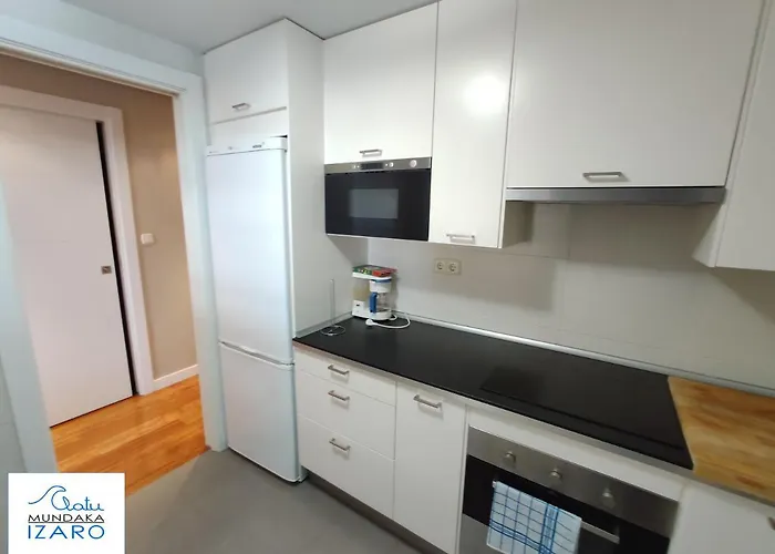 Apartment Izaro *